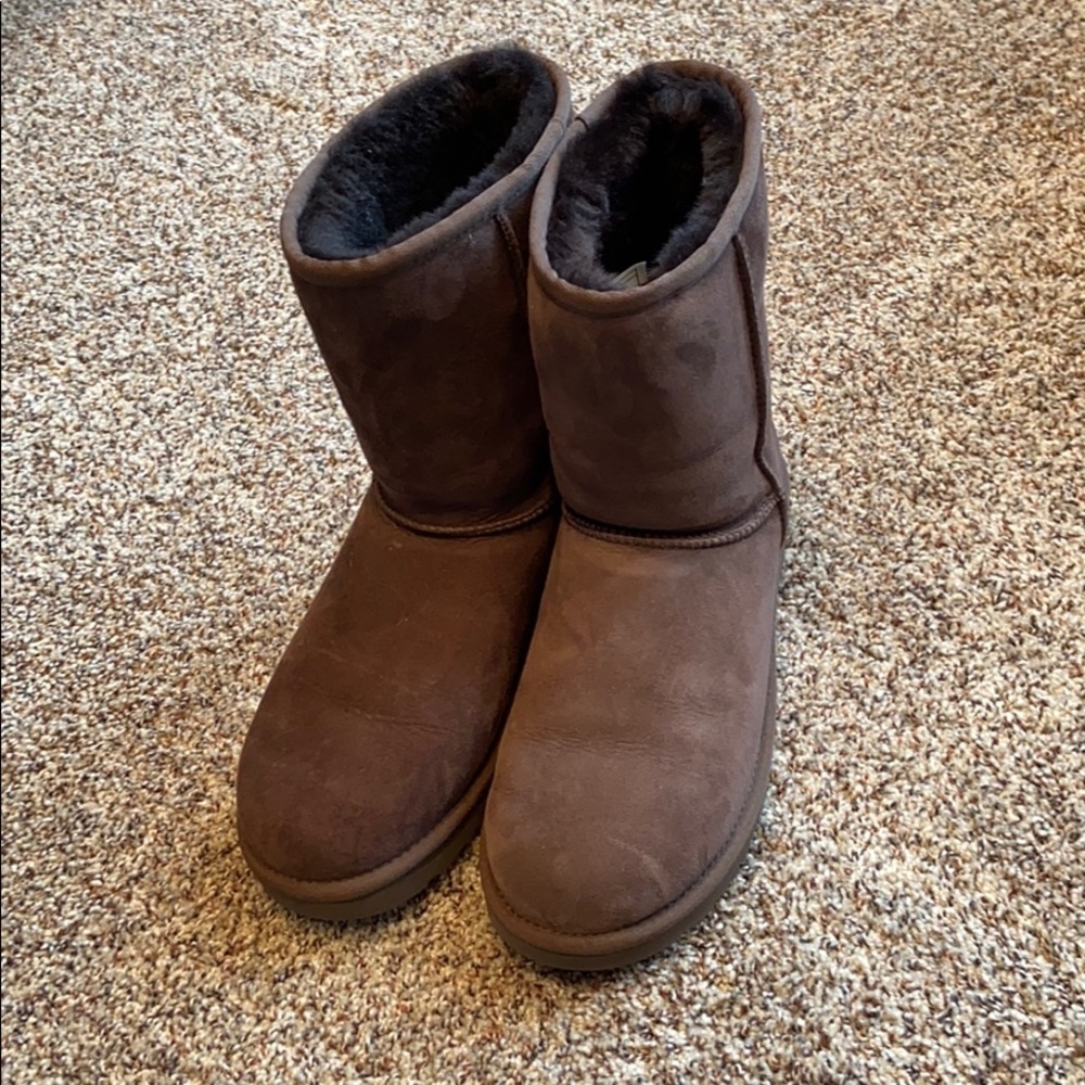 Chocolate Classic Uggs